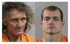 Newman and McCain Newman and McCain